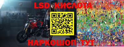PSILOCYBIN Бердск